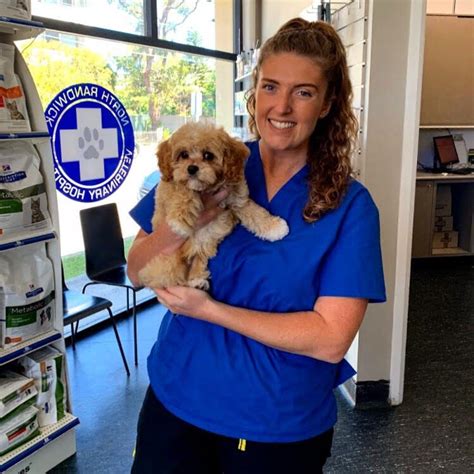 north randwick veterinary clinic.